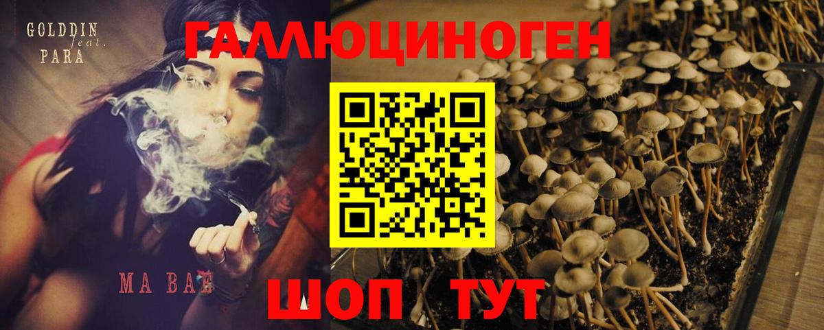 Галлюциногенные грибы мицелий Кушва